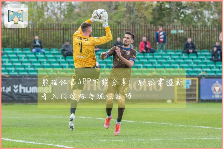 熊猫体育APP下载分享：轻松掌握新手入门攻略与玩法技巧